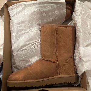 Uggs brand new